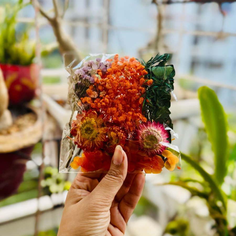 Orange Bag Immortal Flower Pack