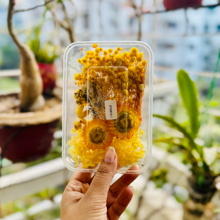 Dried Flower Box 10