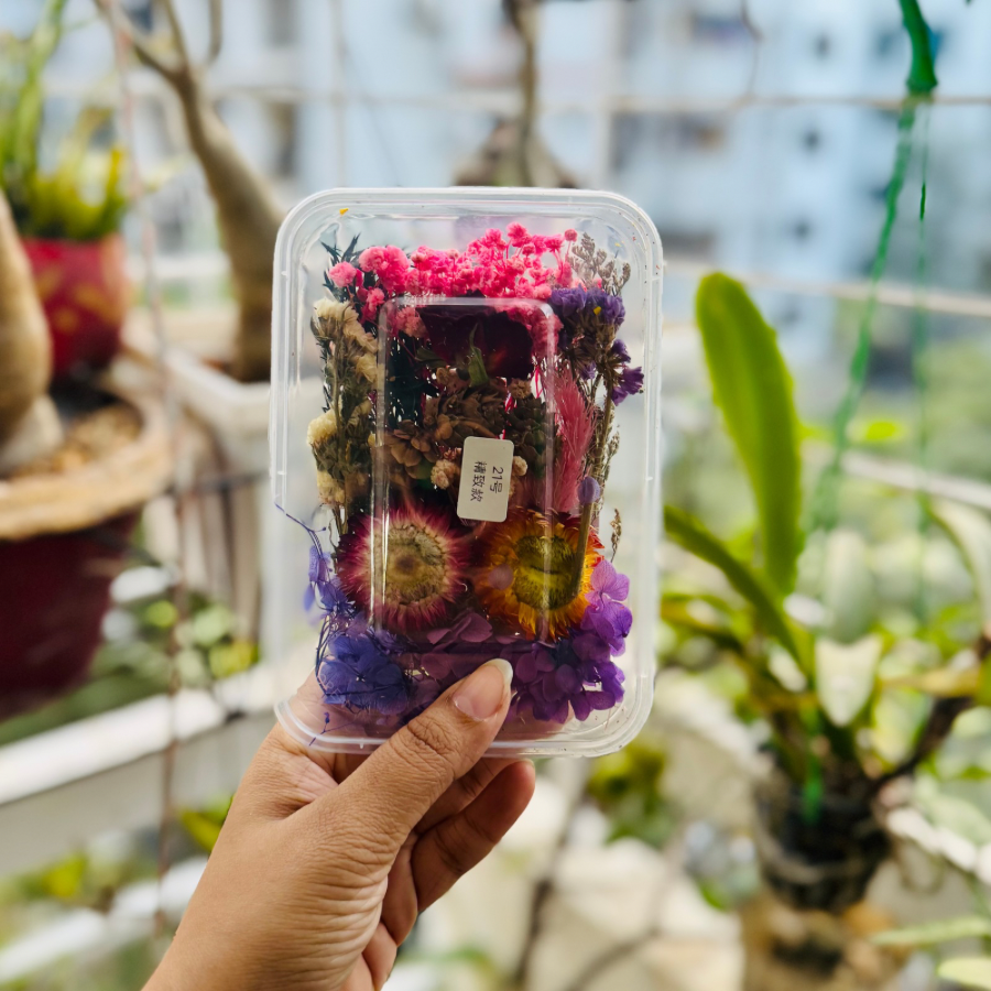 Dried Flower Box 21