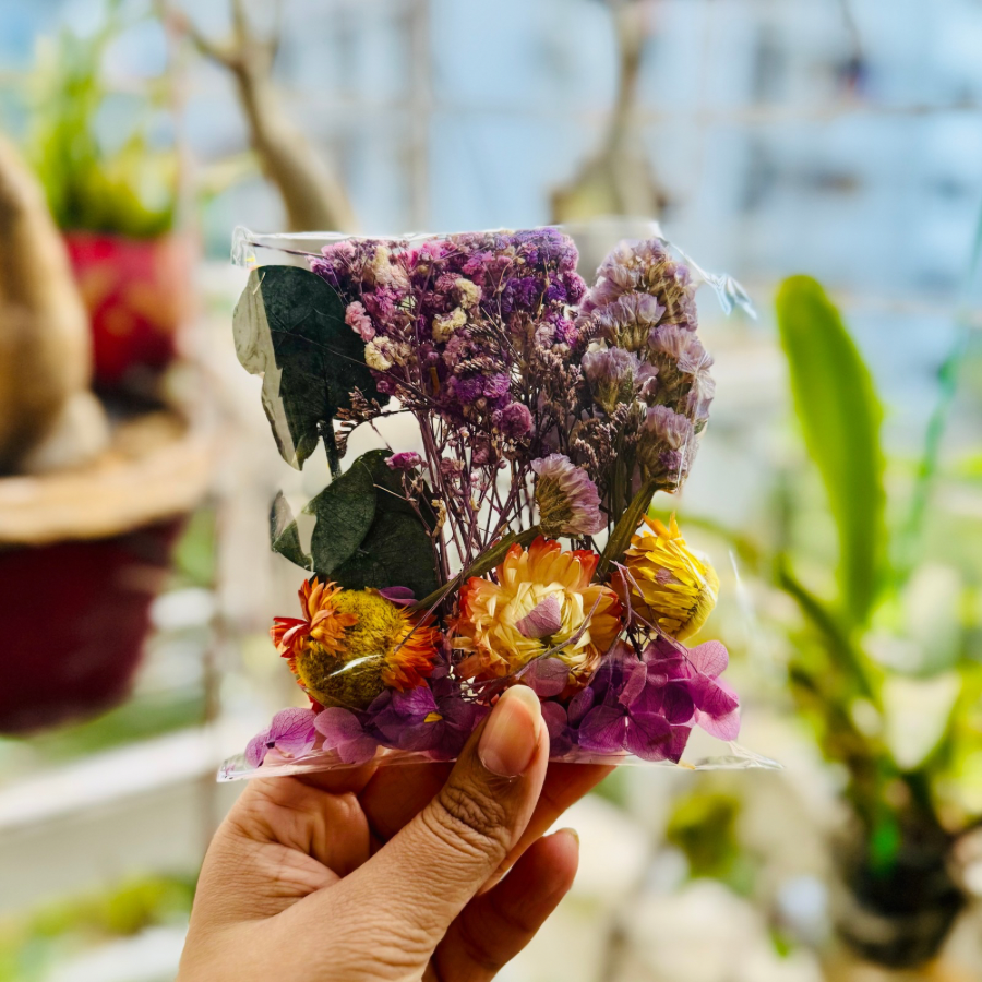 Purple Bag Immortal Flower Pack